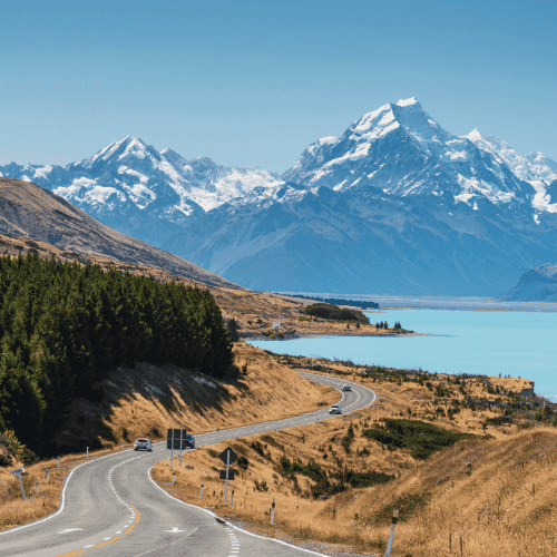 New Zealand gallery 1