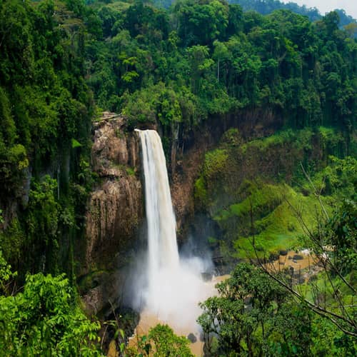 Cameroon gallery 1