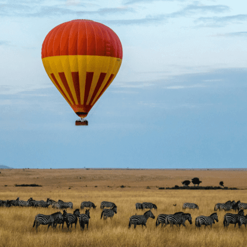 Kenya gallery 1