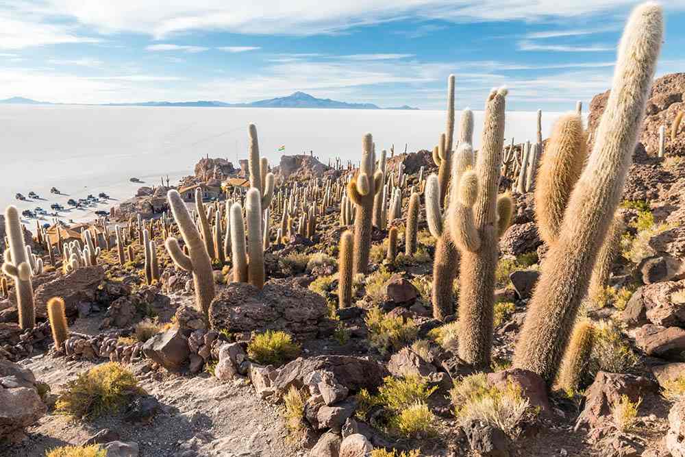 Bolivia gallery 3