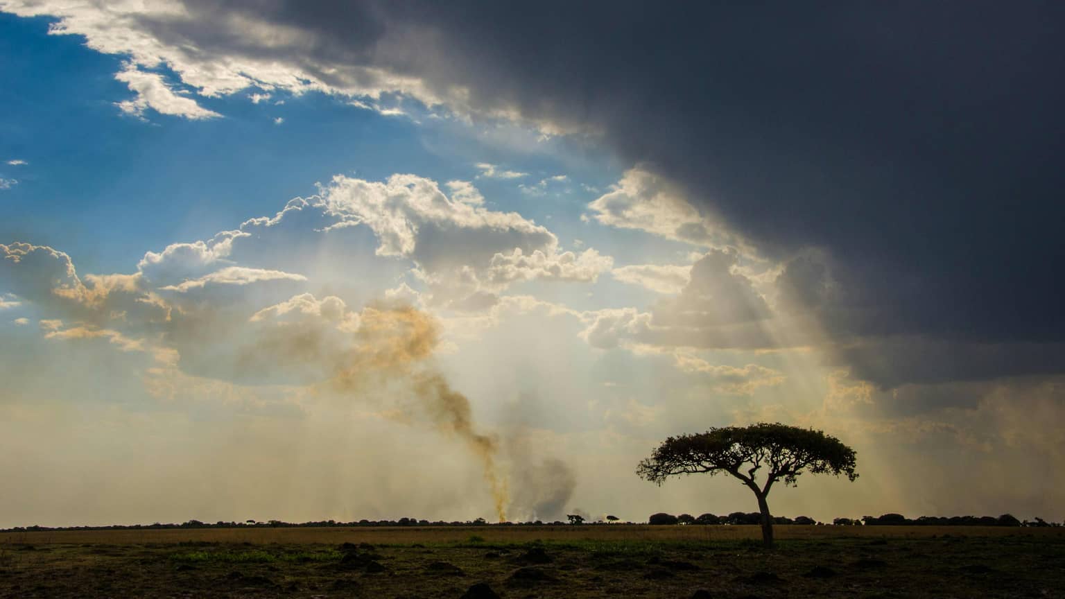 Zambia gallery 2